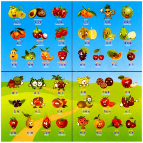 Outdoor Mat 